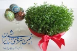 96 سالی نکو برای تئاتر استان  2