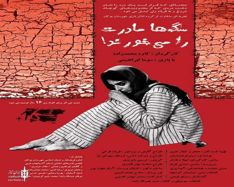 داستان زنانی است که قربانی خشونت جامعه‌خویش می‌شوند 6