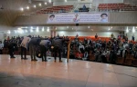 «آخرش یک شب ماه میاد بیرون» در بوکان به اجرا در آمد.   6