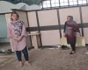  قدمی در سکوت 