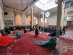 نمایش 