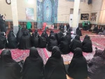 نمایش 