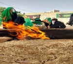 واقعه عصر تاسوعا امان نامه شمر به حضرت عباس(ع) 
 2