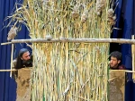 اجرای اول از روز نخست جشنواره 2
