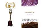 شاهین جبارزاده هنرمند ارومیه ای جایزه بهترین فیلم کوتاه جشنواره  «The IndieFEST Film Awards » آمریکا ، معتبرترین جشنواره آنلاین جهان و واجد شرایط IMDb را دریافت کرد 3