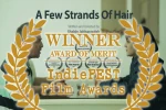 شاهین جبارزاده هنرمند ارومیه ای جایزه بهترین فیلم کوتاه جشنواره  «The IndieFEST Film Awards » آمریکا ، معتبرترین جشنواره آنلاین جهان و واجد شرایط IMDb را دریافت کرد 4